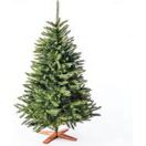 Weihnachtsbaum 180cm FSC Holzständer Premium Qualität Naturgetreu Weihnachtsbaum 180cm FSC Holzständer Premium Qualität Naturgetreu