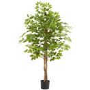 Künstlicher Ficusbaum Fida 160 cm