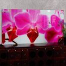 Glasbild Wandbild 50x100cm Glasbild Wandbild 50x100cm
