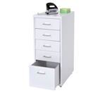 Rollcontainer Boston 5 Schubladen Stahlschrank 69x28x44cm Weiss