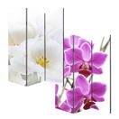 Foto-Paravent Raumteiler 180x120cm Orchidee Foto-Paravent Raumteiler 180x120cm Orchidee
