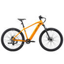 E-Bike Mountainbike 29" AVALANCHE gelb E-Bike Mountainbike 29" AVALANCHE gelb
