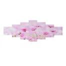 Leinwandbild Wandbild 7-teilig 140x50cm ~ Blumen Leinwandbild Wandbild 7-teilig 140x50cm ~ Blumen