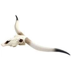 Deko Kuhschädel Stierkopf Bulle Longhorn ~ 103cm