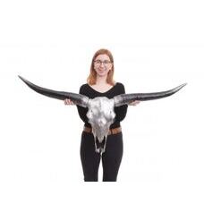 Deko Schädel Longhorn 132cm Kuhschädel Stierkopf Bulle