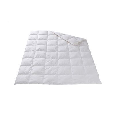 Dorbena Ganzjahresduvet 160x210cm 490g