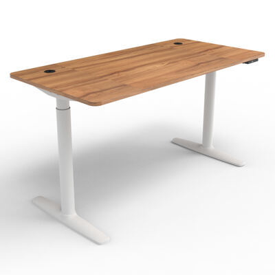 Stehpult Elektrisch Höhenverstellbarer Tisch Arogno 140x60cm